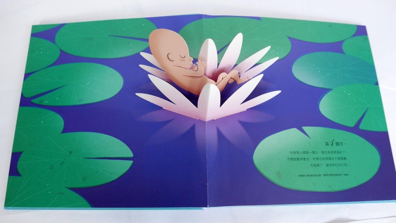 你在媽媽肚子裡的樣子―1：1真實比例小寶寶立體書（立體封面典藏版）